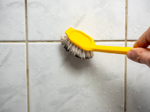 Best Mold Cleaning Services  in Linden, AL