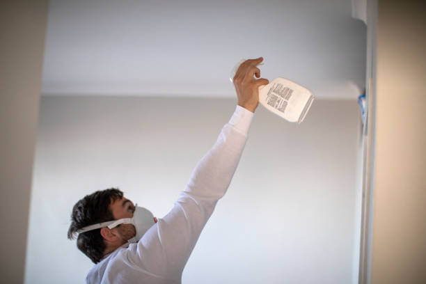 Best Crawl Space Mold Removal  in Linden, AL