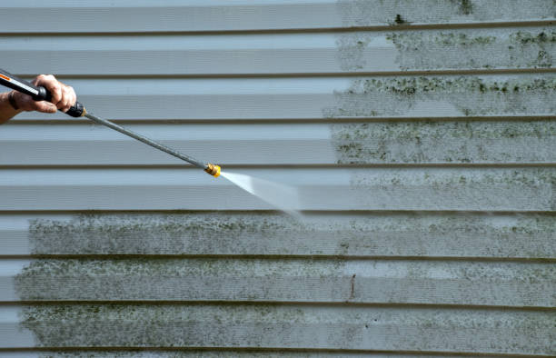 Best Certified Mold Removal  in Linden, AL