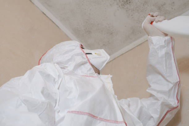 Best Commercial Mold Removal  in Linden, AL